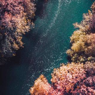 View iPhone wallpaper