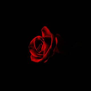 Dark red phone wallpaper