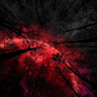 Dark red phone wallpaper