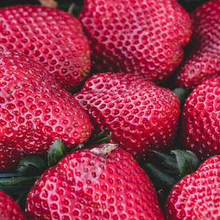 Strawberry phone wallpaper