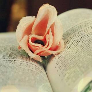 Books iPhone wallpaper