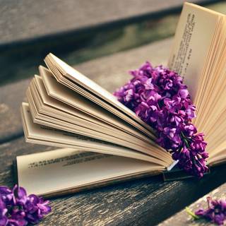 Purple book wallpaper
