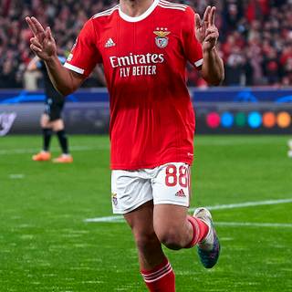 Gonçalo Ramos wallpaper