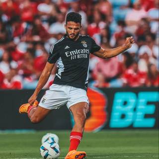 Gonçalo Ramos wallpaper