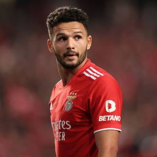 Gonçalo Ramos wallpaper