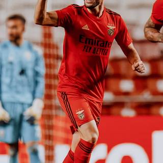 Gonçalo Ramos wallpaper