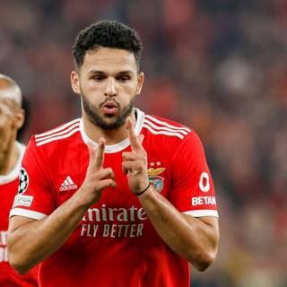 Gonçalo Ramos wallpaper