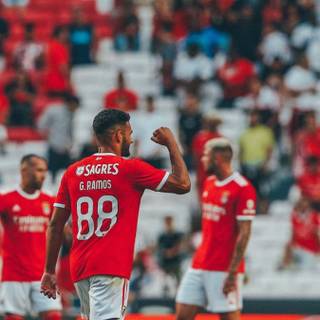 Gonçalo Ramos wallpaper