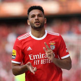 Gonçalo Ramos wallpaper