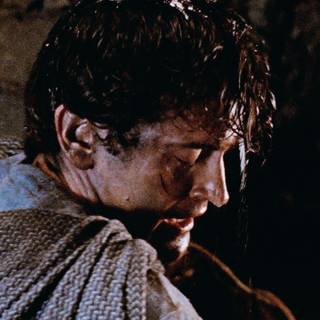 Bruce Campbell wallpaper