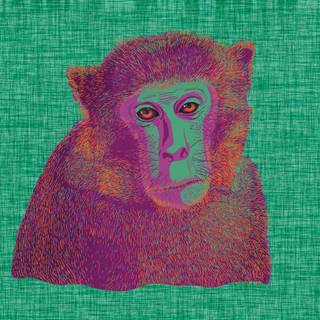 Drippy monkey wallpaper