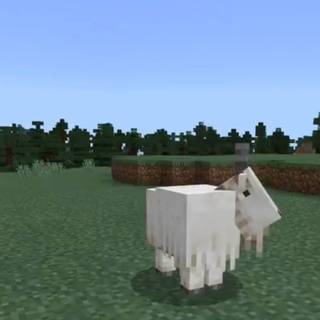 Minecraft goat wallpaper