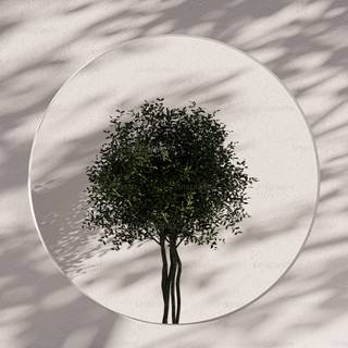 Architecture aesthetic wallpaper