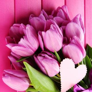 Flowers mobile wallpaper