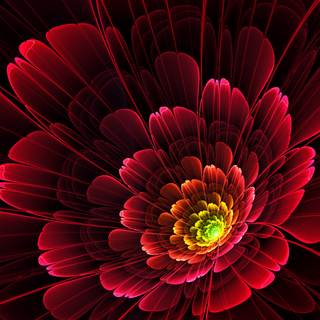 Flowers mobile wallpaper