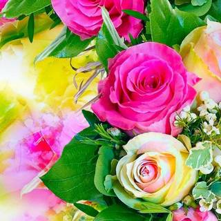 Flowers mobile wallpaper