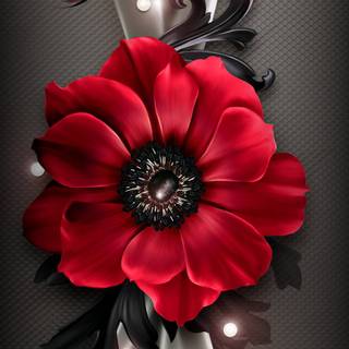 Flowers mobile wallpaper