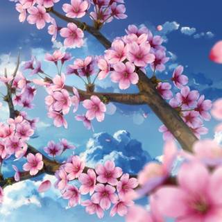 Anime flowers 4k wallpaper