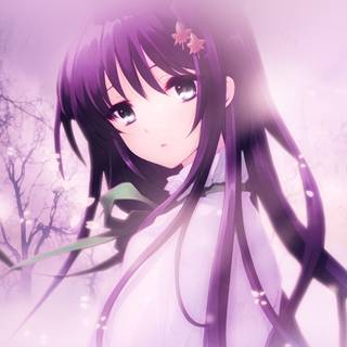 Anime pink flowers 4k wallpaper