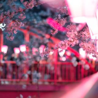 Pink flower tree wallpaper