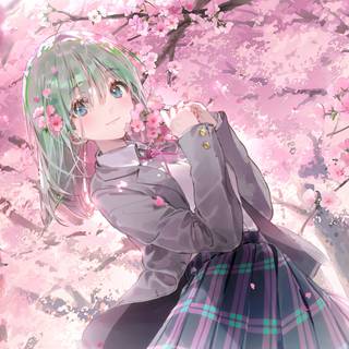 Anime pink flowers 4k wallpaper