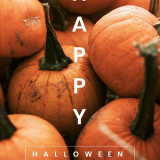 Cute Halloween greetings wallpaper