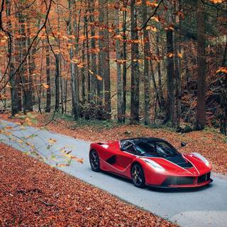 Autumn Ferrari wallpaper