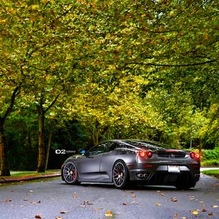 Autumn Ferrari wallpaper
