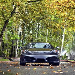 Autumn Ferrari wallpaper