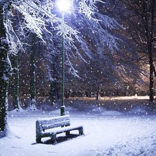 Snow winter nature wallpaper