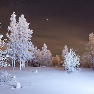 Snow winter nature wallpaper