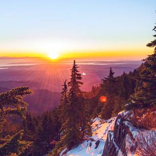 Snow winter nature wallpaper