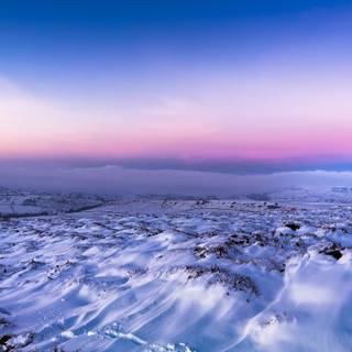 Snow winter nature wallpaper