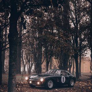 Autumn Ferrari wallpaper