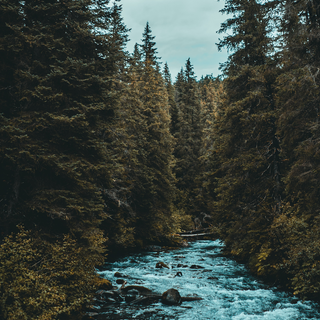 River iPhone wallpaper