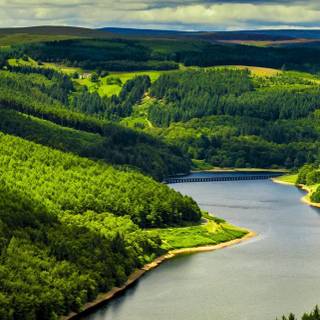 River iPhone wallpaper