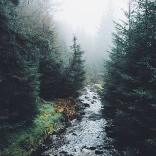 River iPhone wallpaper