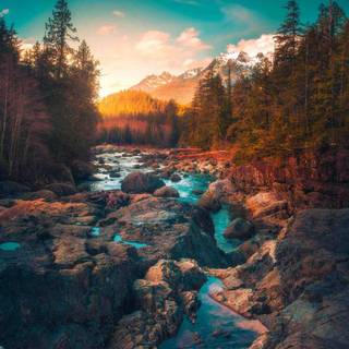 River iPhone wallpaper