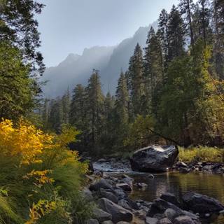 River iPhone wallpaper