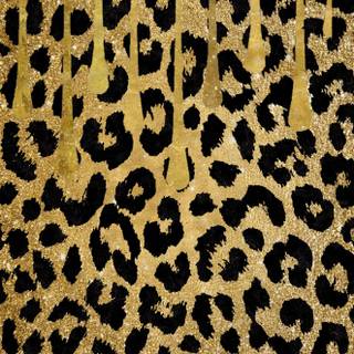 Leopard phone wallpaper