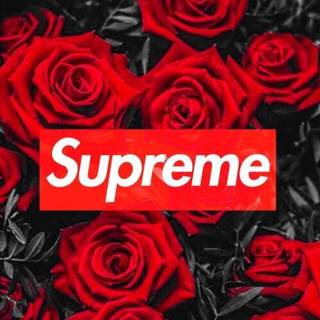 Supreme iPhone 11 wallpaper