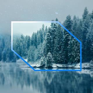 Blurred winter trees wallpaper