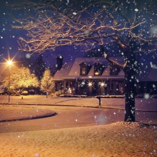 Cozy winter night wallpaper