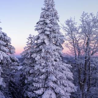 Cozy winter phone wallpaper