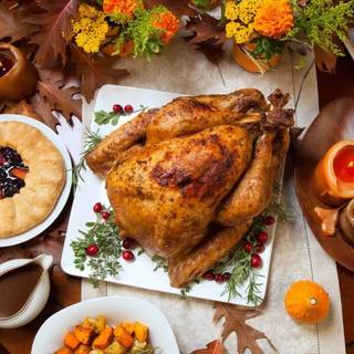 Thanksgiving meal wallpaper