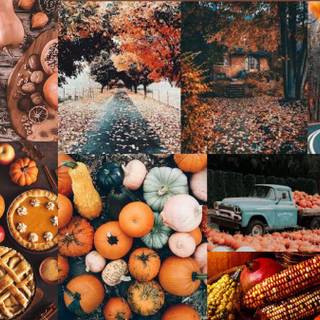 Thanksgiving collages wallpaper