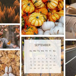 Laptop aesthetic autumn wallpaper