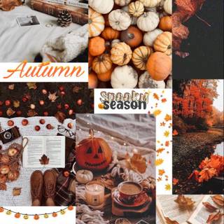 Thanksgiving collages wallpaper
