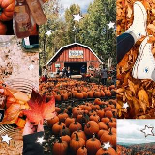 Thanksgiving collages wallpaper