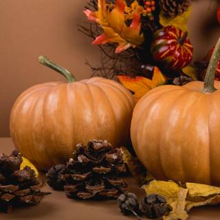 Thanksgiving harvest wallpaper